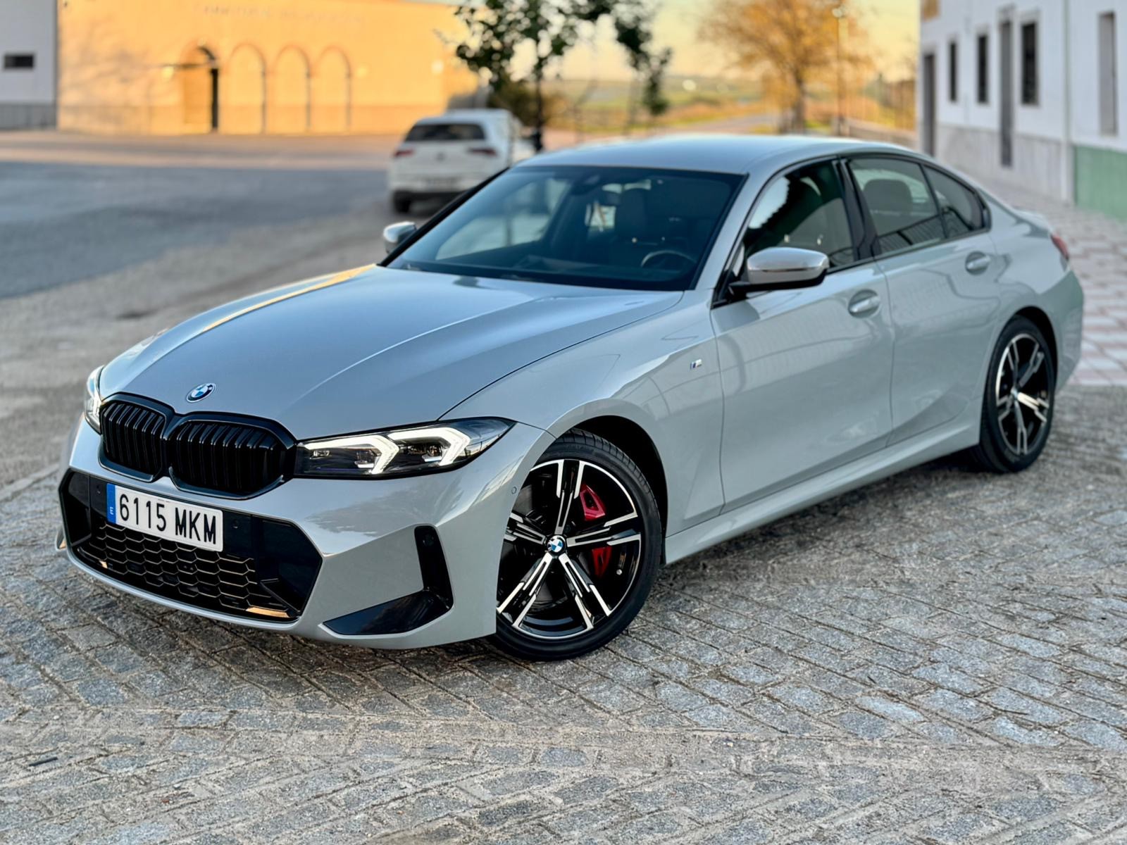 BMW gris en MOTOLAND